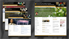 College of Agriculture, Food and Natural Resources, University of Missouri