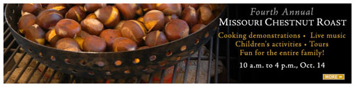Missouri Chestnut Roast