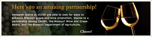Here's to an amazing partnership!