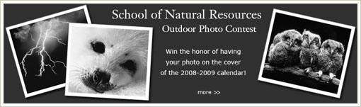 Outdoor Photo Contest