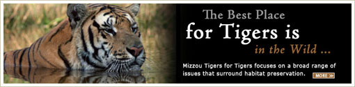 Best Place for Tigers