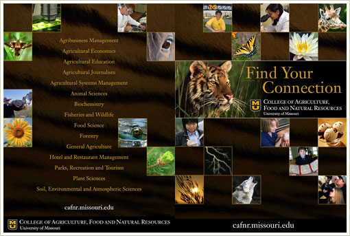 Student Recruitment Folder