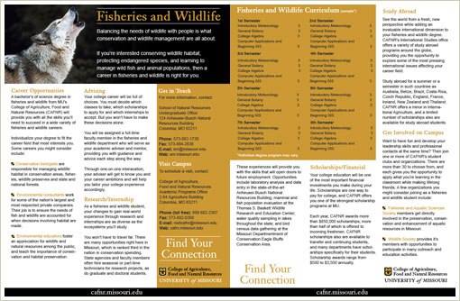 Student Recruitment Insert